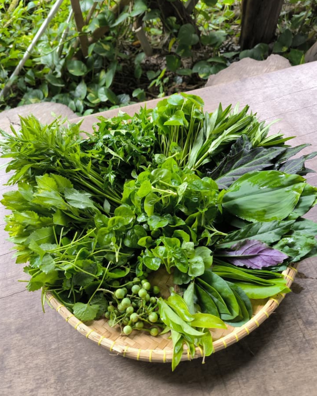 Basket of mixed Malaysian ulam and wild vegetables grown between the fruit trees