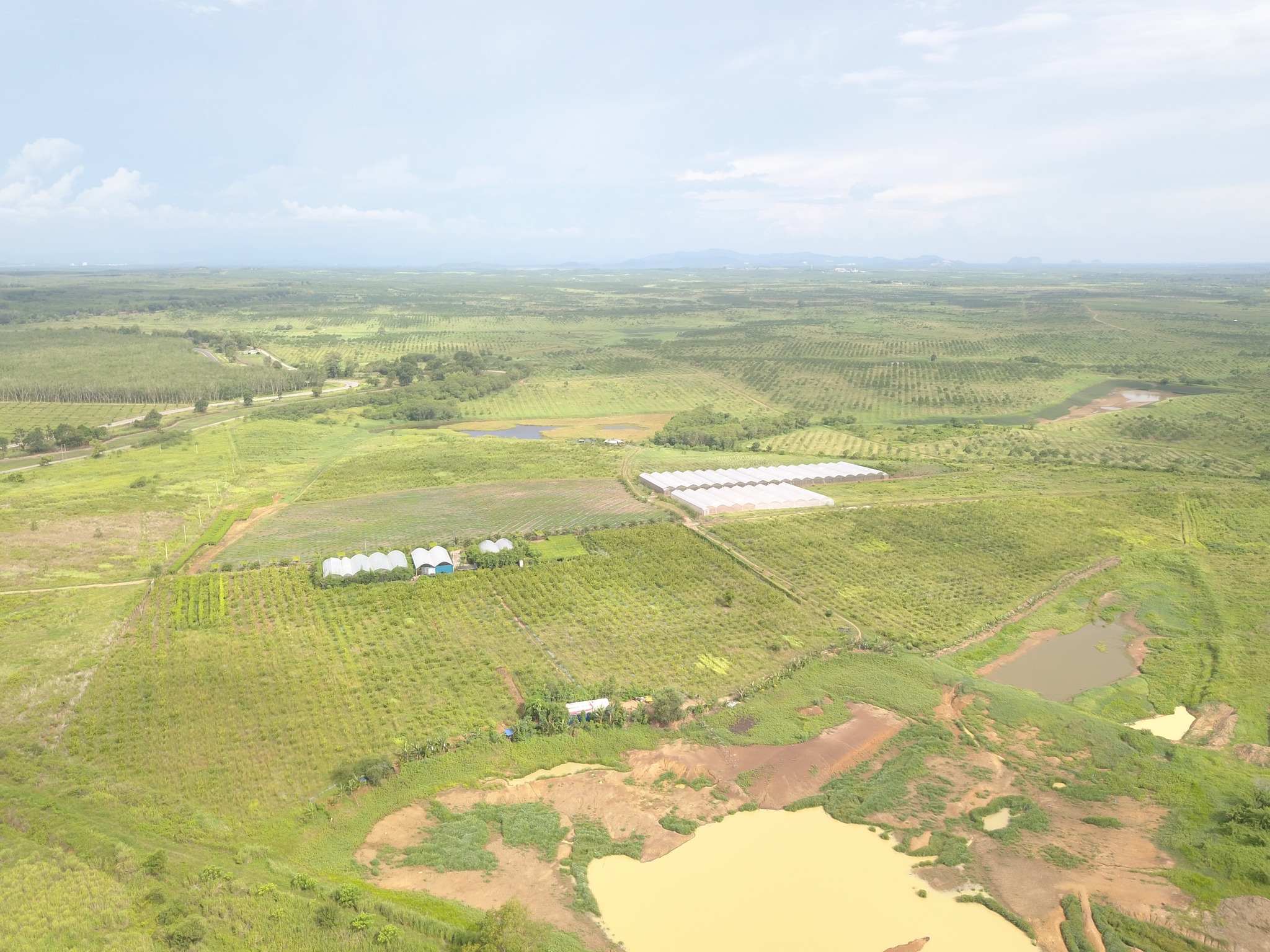 Superfruits Valley farm, August 2025