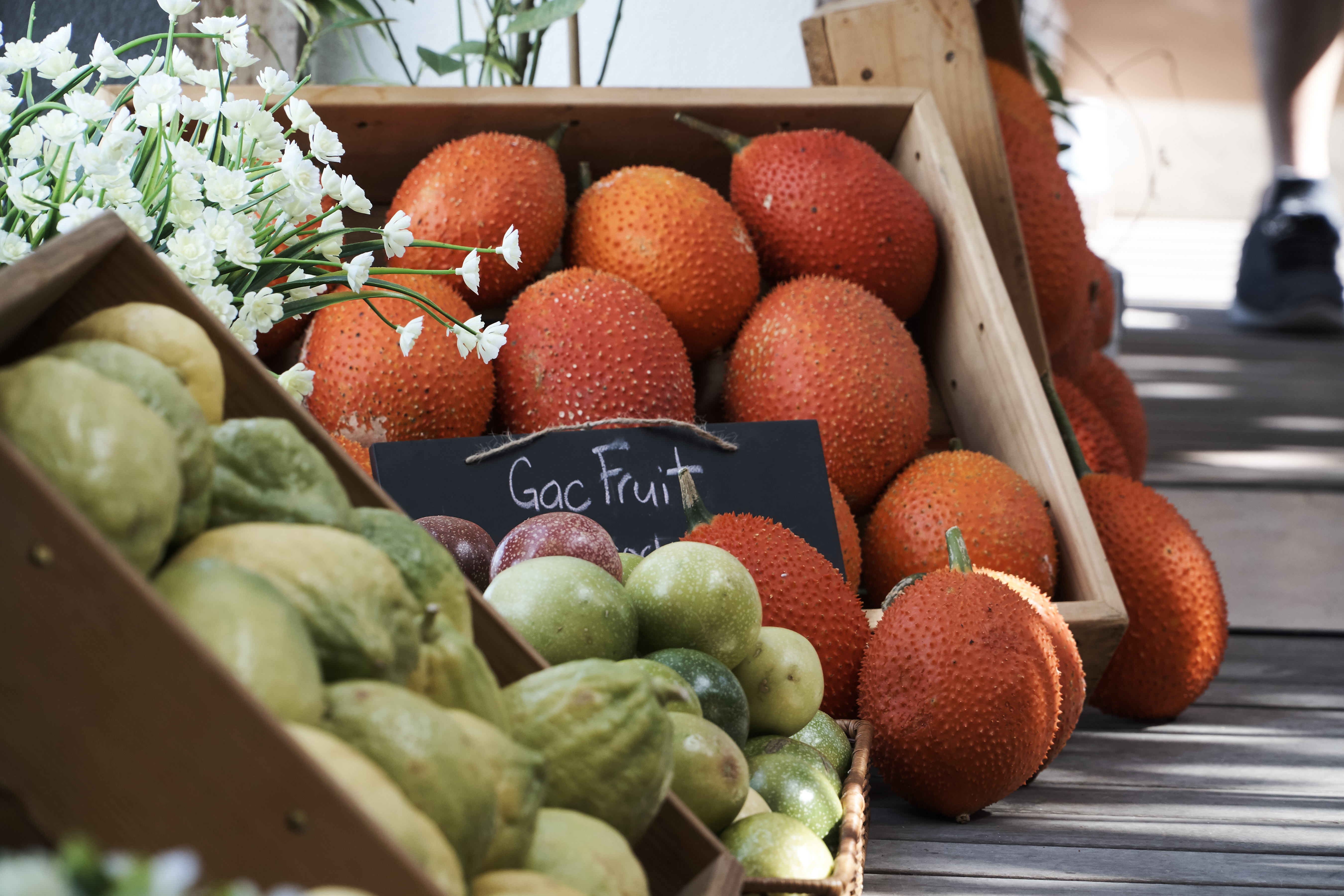 Interior of the Superfruits Valley fig greenhouse with golden light